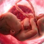 جنين عمره شهرين بالسونار .. تعرف إلى مراحل نمو الجنين بالشهور الأولى للحمل