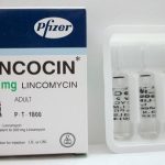 لينكوسين مضاد حيوي لعلاج الألتهابات البكتيرية Lincocin